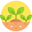Sprout icon 64x64