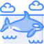 Orca icon 64x64