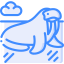 Walrus icon 64x64