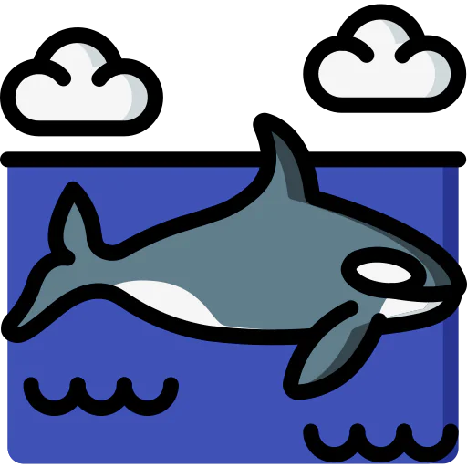 Orca icon