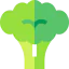 Broccoli biểu tượng 64x64