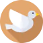 Pigeon icon 64x64