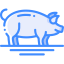 Pig icon 64x64