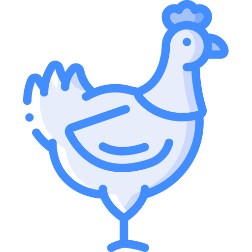 Chicken icon