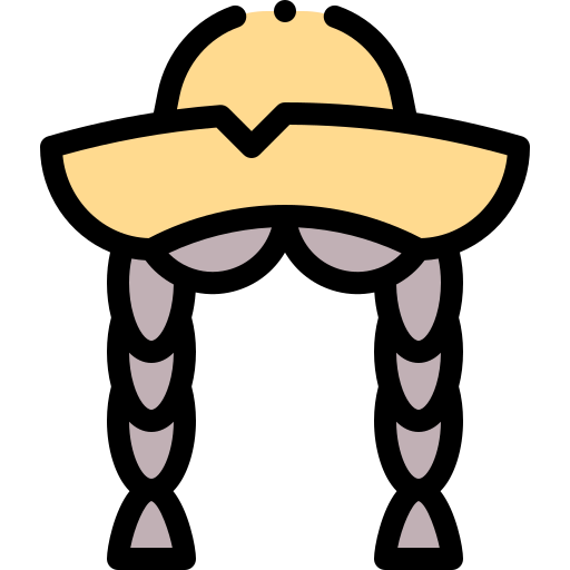 Braids icon