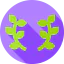 Оливковое иконка 64x64