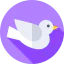 Dove icon 64x64