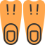 Flippers icon 64x64