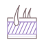 Dermis icon 64x64