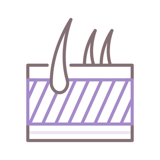 Dermis icon