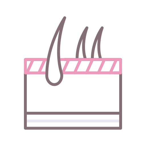 Epidermis icon