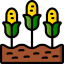 Corn icon 64x64
