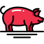Pig icon 64x64