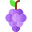 Grapes icon 64x64
