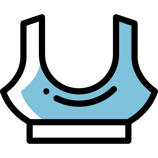 Bra icon