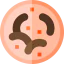 Leech icon 64x64