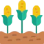 Corn icon 64x64