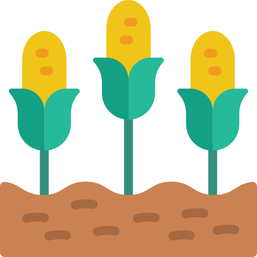 Corn icon