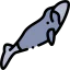 Bowhead whale icon 64x64
