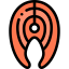 Salmon icon 64x64