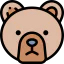 Grizzly bear icon 64x64