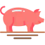 Pig icon 64x64