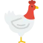 Chicken icon 64x64