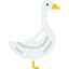 Goose icon 64x64