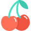 Cherry icon 64x64