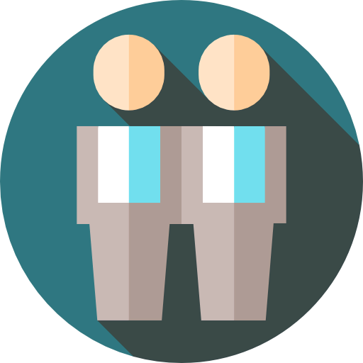 Gemini icon