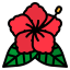 Hibiscus icon 64x64
