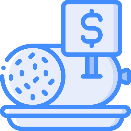 Salami icon