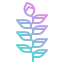 Orchid icon 64x64