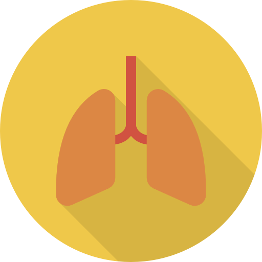 Lungs icon
