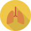 Lungs ícono 64x64