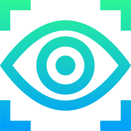 Vision icon
