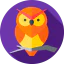 Owl icon 64x64
