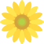 Sunflower アイコン 64x64