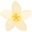 Jasmine icon 64x64