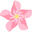 Oleander icon 64x64