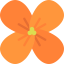 Wallflower Ikona 64x64