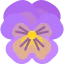 Pansy icon 64x64
