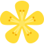 Hypericum icon 64x64