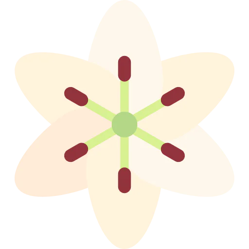 Lily icon