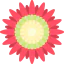 Protea 图标 64x64