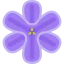 Hyacinth icon 64x64