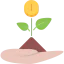 Growth icon 64x64