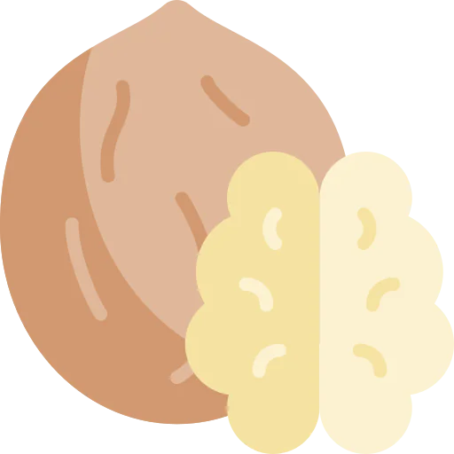 Nut icon