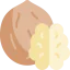 Nut іконка 64x64