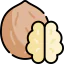 Nut іконка 64x64